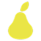 chip
